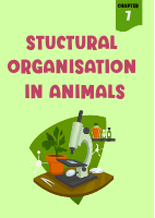 STUCTURAL ORGANISATION IN ANIMALS.pdf